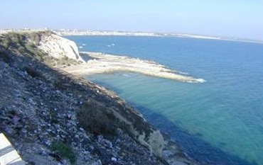 ����� ���� �������� 