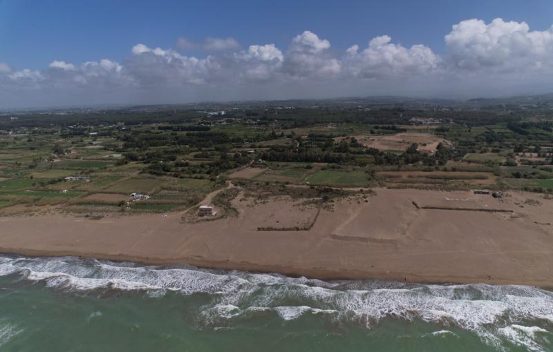 �������� - 5