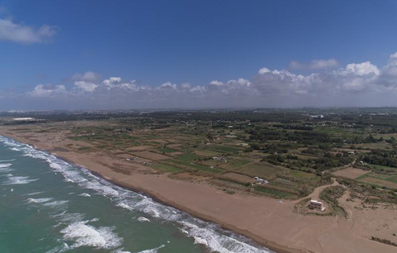 �������� - 4