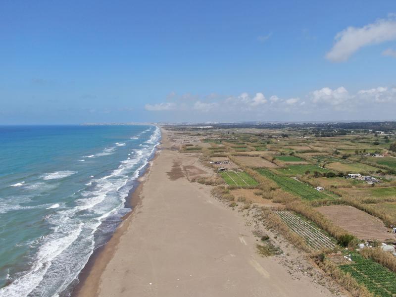 �������� - 2