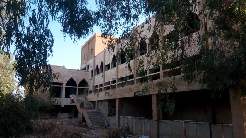 ��� ����� - 19