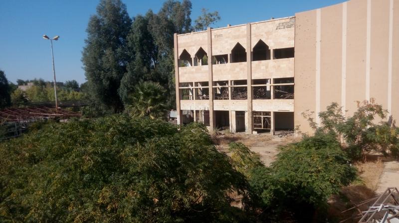 ��� ����� - 9