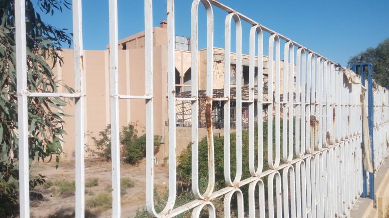 ��� ����� - 8