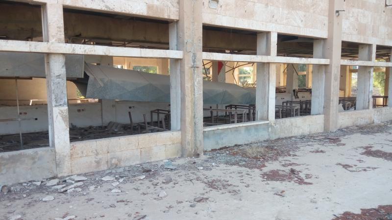 ��� ����� - 17