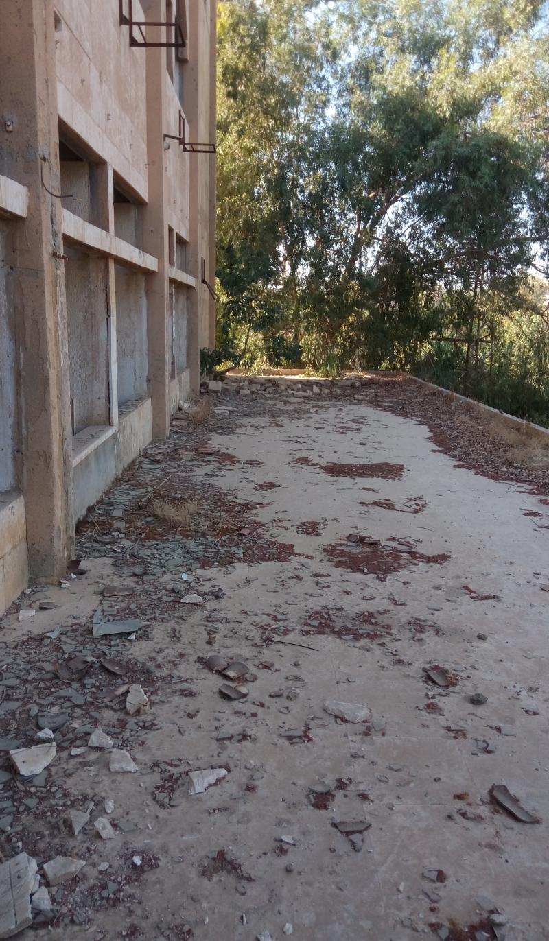 ��� ����� - 16