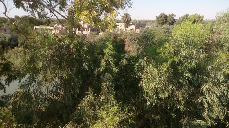 ��� ����� - 14