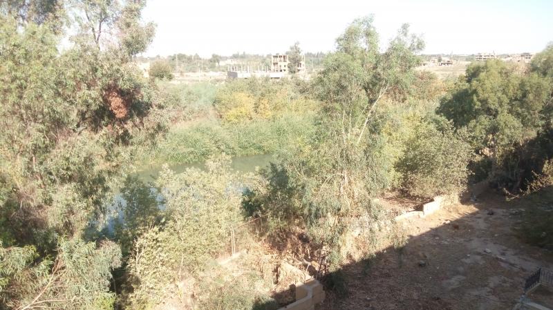 ��� ����� - 13