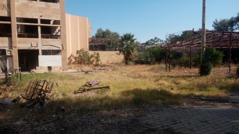 ��� ����� - 12