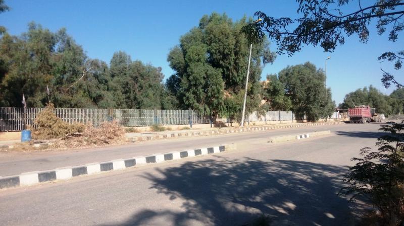 ��� ����� - 11