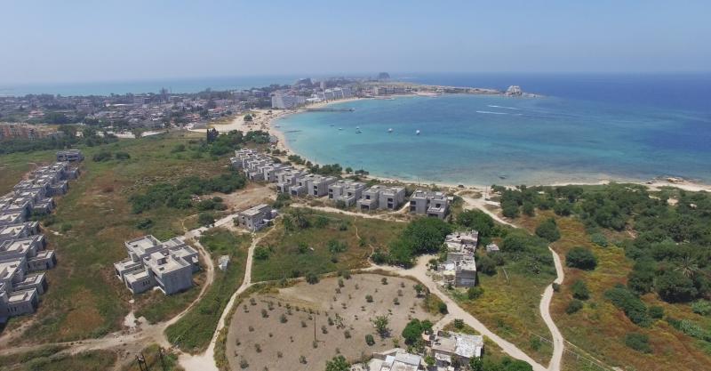 �������� - 12