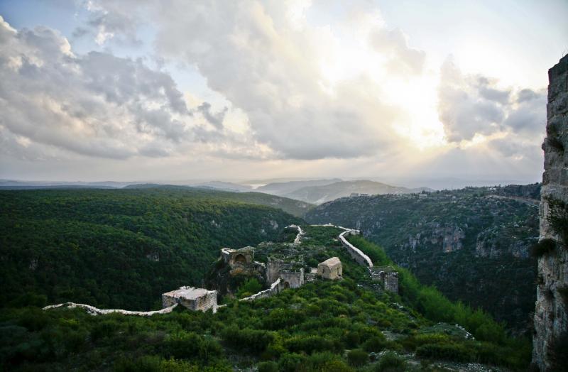 ���� ����� ����� ���� �����