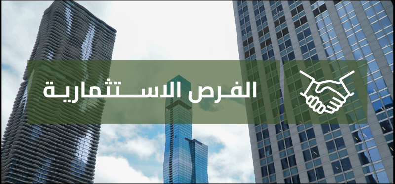 ����� �����������